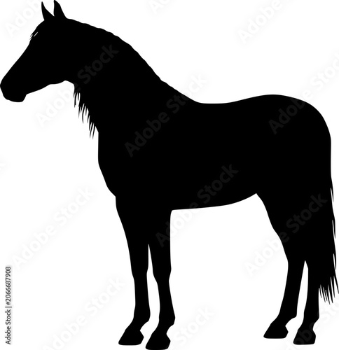 Black horse silhouette vector graphic standing in side view, design for: equestrian sports logos, horse ranch branding emblems, western theme promotional banners. Transparent EPS version.
