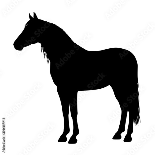 Black horse silhouette vector graphic standing in side view, design for: equestrian sports logos, horse ranch branding emblems, western theme promotional banners. Transparent SVG version.