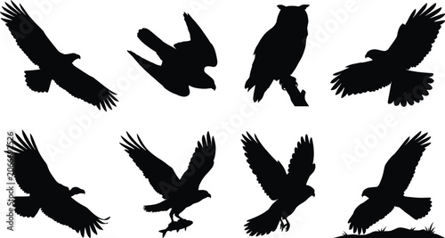 Foto Birds of prey silhouettes set featuring eagle hawk falcon owl osprey and vulture