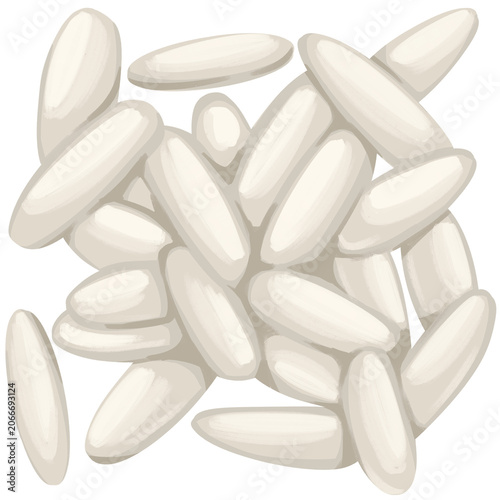  White Rice Grains