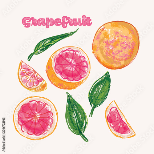 Grapefruit citrus crayon illustration set - colorful hand drawn elements, whole and halved fruits with leaves
