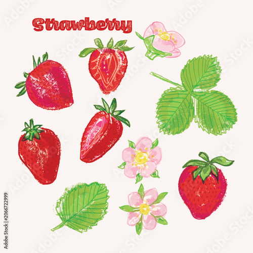 Strawberry crayon illustration set - colorful hand drawn elements, whole and halved fruits with blossoms and leaves
