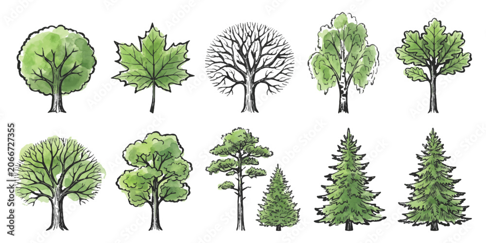 Fototapeta premium Collection of hand drawn tree sketches with green watercolor texture for nature design and forest projects