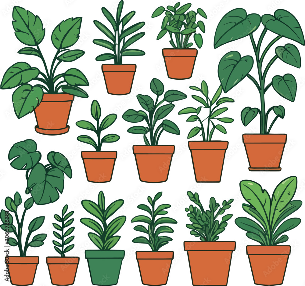 Fototapeta premium Collection of Various Indoor Houseplants in Small Pots for Home Decor.