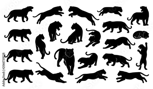 Canvas Print Black Tiger Silhouette Set with Realistic Wild Cat Poses Vector Illustration Iso