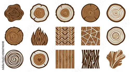 Collection of wood grain textures and tree trunk slices