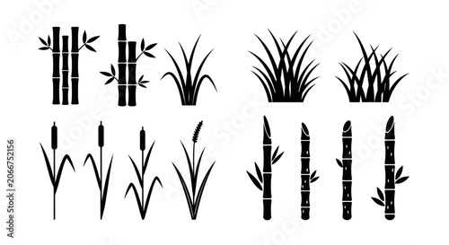 Bamboo and Grass Silhouettes: Vector Collection
