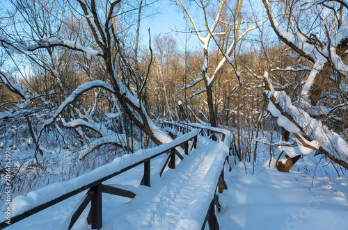 A snow-covered wooden pedestrian bridge, a hiking trail in a winter forest