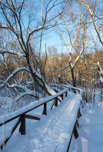 A snow-covered wooden pedestrian bridge, a hiking trail in a winter forest