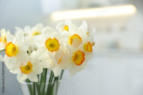Vase with beautiful daffodil flowers in kitchen, closeup. Space for text