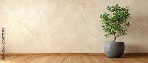Modern interior scene with a minimalist potted tree against beige wall and wooden floor