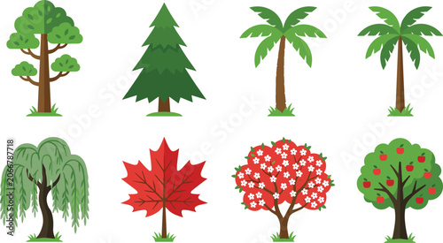 Konstfotografi Vector illustration of multiple tree species including broadleaf, pine, palm, wi