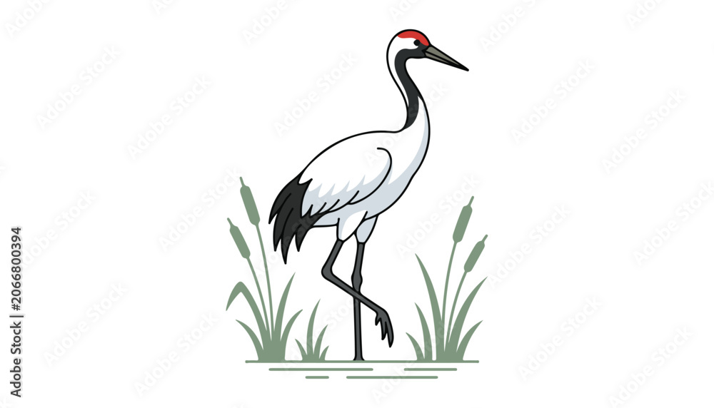 Fototapeta premium Cranes bird clipart vector illustration