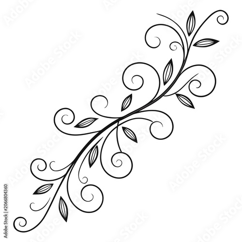 Floral flourish ornament with elegant swirl vine.