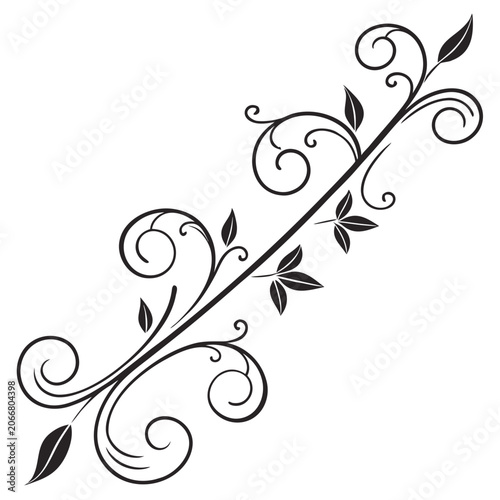 Ornate vine swirl with leaves decorative element.