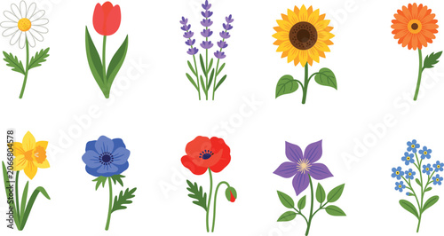 Colorful Garden Flower Vector Set featuring Daisy, Tulip, Lavender, Sunflower, Poppy, and Daffodil Botanical Illustrations for Floral Designs