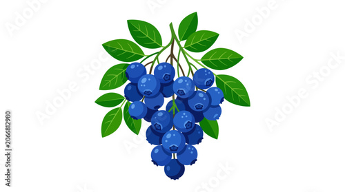 Blueberries on a green stem branch.