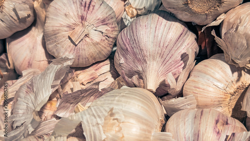 close up of raw garlic bulbs texture background