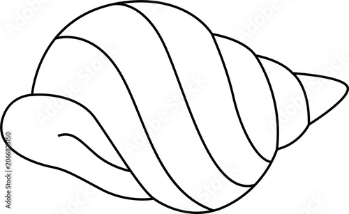Line drawing of a conch shell.