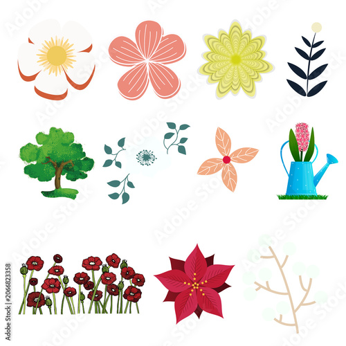 Colorful Floral Elements Collection with Leaves Flowers Plants and Botanical Decorations Vector Set