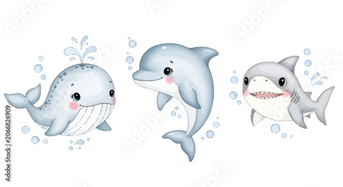 Photography Cute cartoon whale dolphin and shark sea animals set