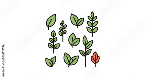 Organic herbal collection creative abstract decorative vector.eps