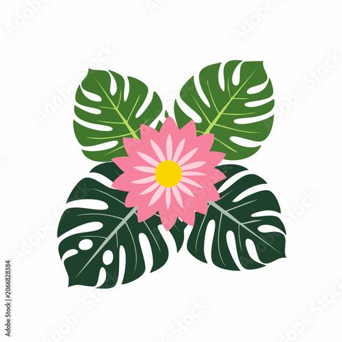 Pink Flower and Green Monstera Leaves Illustration