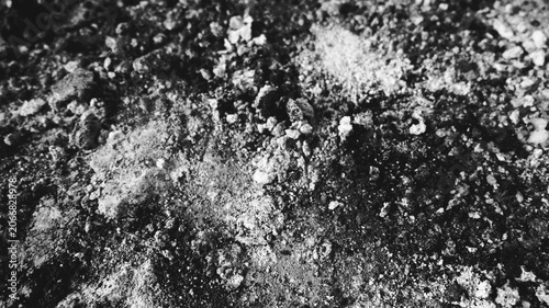 Фотография Monochrome close-up of granular dusty surface with dark specks, powdery patches, and abstract rugged texture