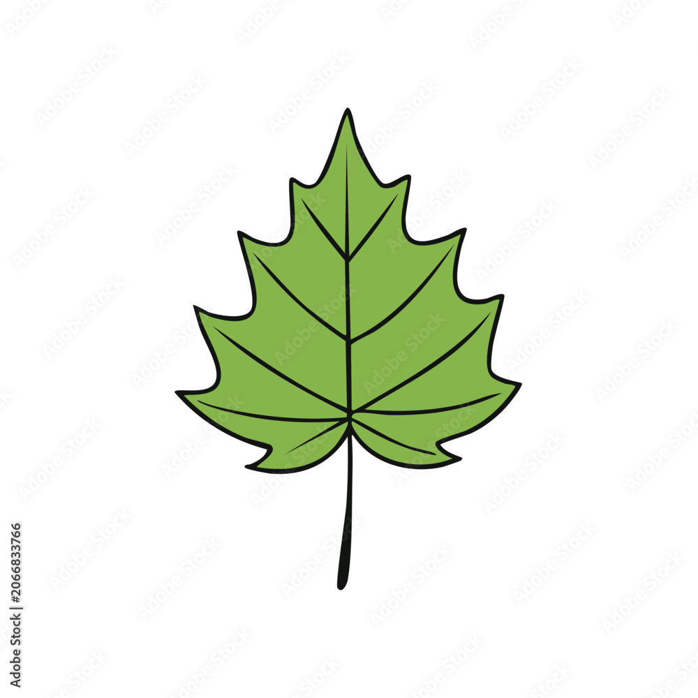 Fototapeta premium Simple Green Leaf Illustration with Veins and Stem