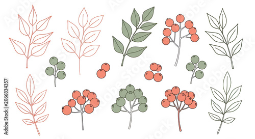 Hand Drawn Botanical Elements Collection Featuring Stylized Leaf Sprigs and Vibrant Berries for Seasonal Floral Design Projects
