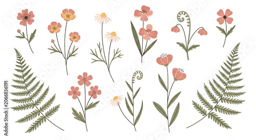 A charming key collection of hand-drawn spring flowers and delicate ferns, perfect for whimsical botanical designs and seasonal creative projects