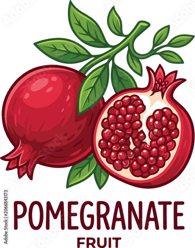 Pomegranate fruit vector illustration with whole and half cut fruit with seeds and leaves on white background