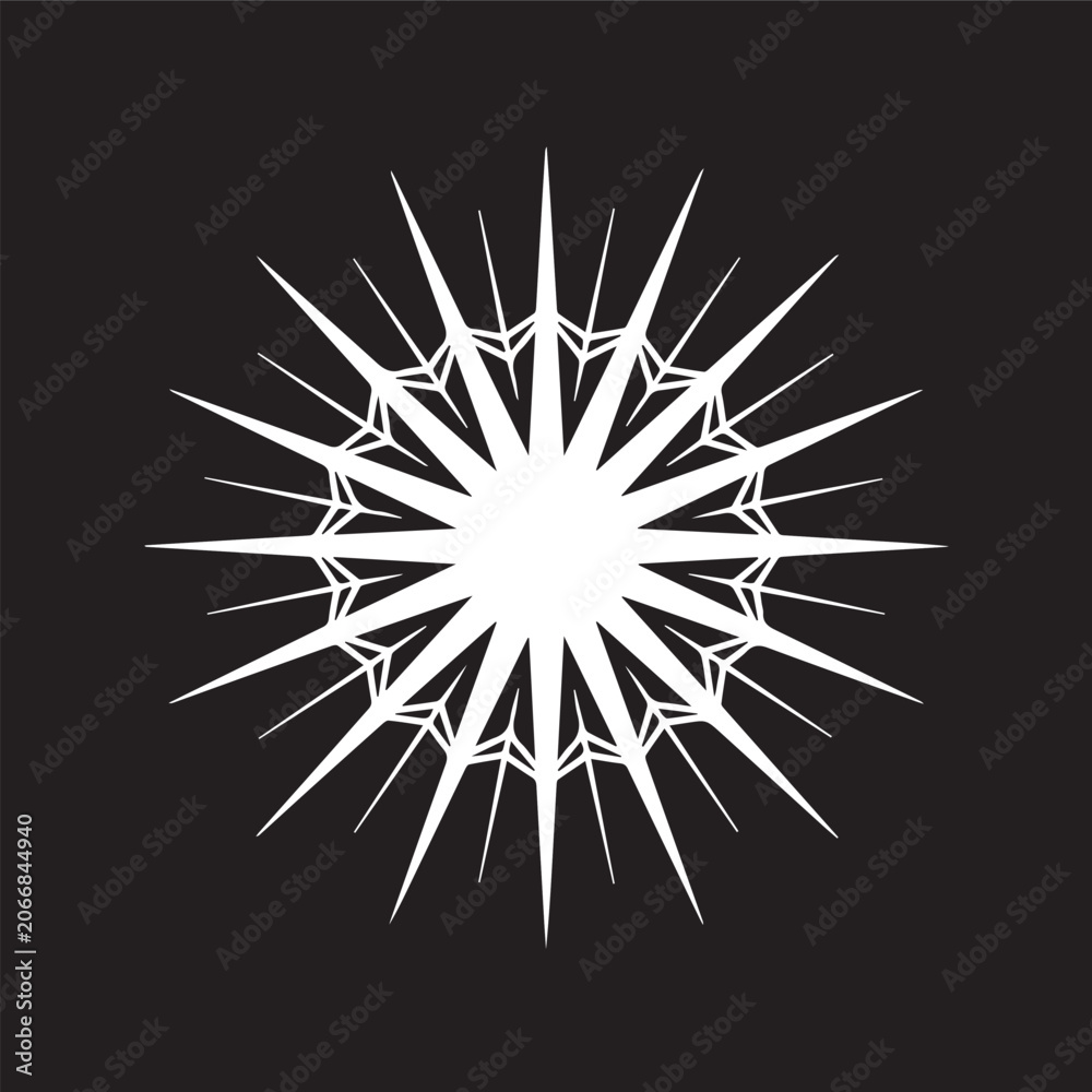 Fototapeta premium Floral Mandala Art and Decorative Patterns