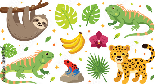 Cute Rainforest Animals and Tropical Plants Vector Element Set Featuring Sloth, Jaguar Cub, Iguanas, Poison Dart Frog, Bananas, and Monstera Palm Leaves