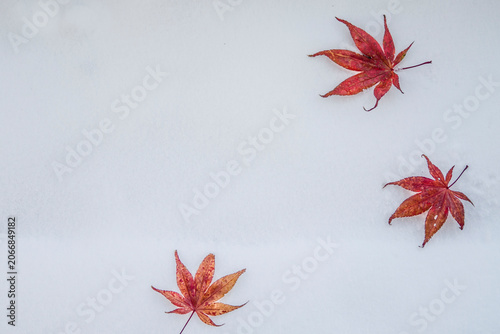 雪と紅葉