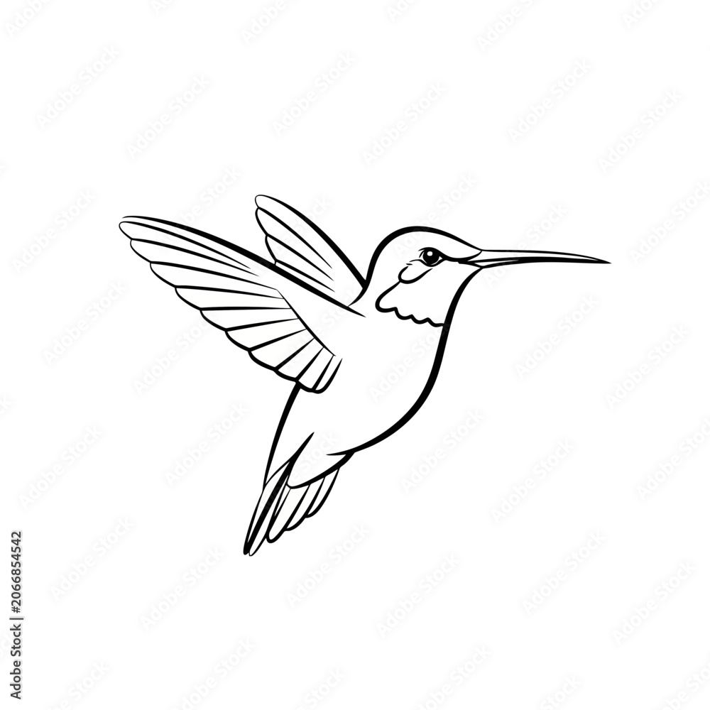 Fototapeta premium Hummingbird contour sketch showing delicate wings in motion while the bird glides gracefully in the air symbolising freedom and nature exploration for creative projects needing an artistic avian