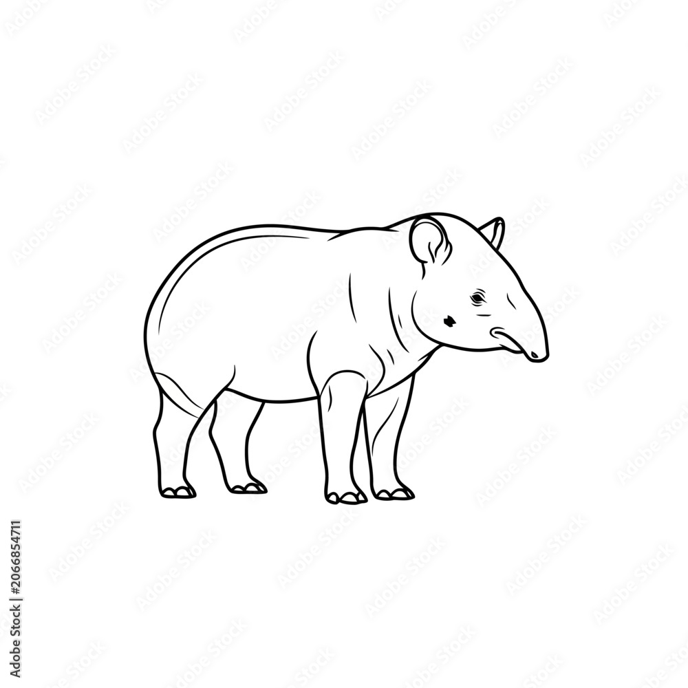 Obraz premium A hand drawn outline of a young tapir standing steadily on four legs showing the unique snout features of this rare jungle creature often found in tropical rainforest habitats across the globe