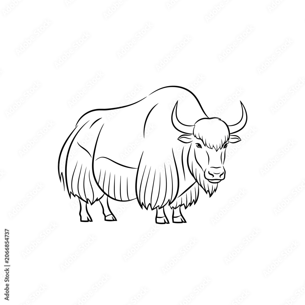 Obraz premium A wild yak silhouette drawn with bold black outlines captures the powerful posture of this mountain bovine creature roaming through the high rocky plains during a cold snowy day in central Asia