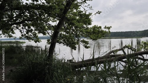 Zalew Zemborzycki( Zemborzycki lake) Lublin, Poland . Polish beautiful nature