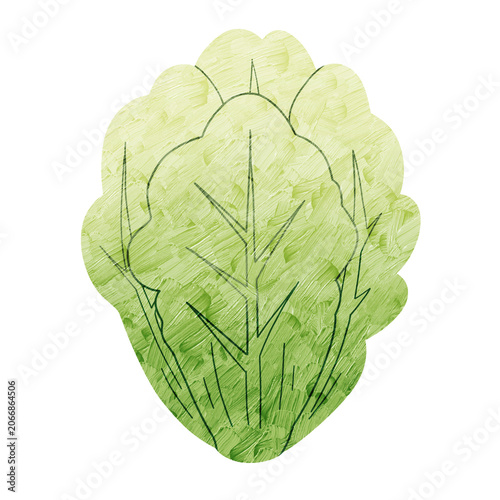 Obraz na plátně Cute Chinese Cabbage cartoon