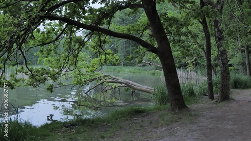 Zalew Zemborzycki( Zemborzycki lake) Lublin, Poland . Polish beautiful nature