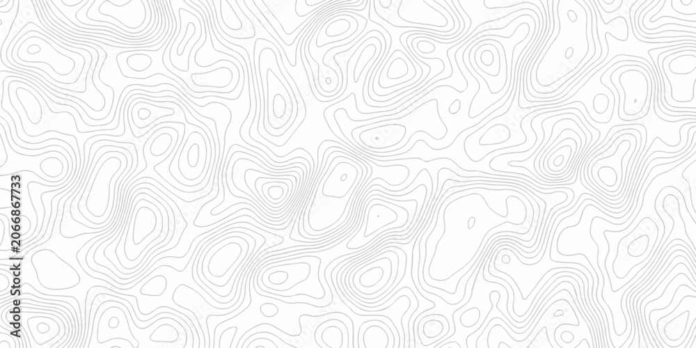 Fototapeta premium White topography map line geometric grid outline curve counter map wavy design. topography relief discovery area black spiral line space landscape texture background.