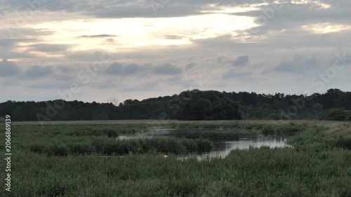 Zalew Zemborzycki( Zemborzycki lake) Lublin, Poland . Polish beautiful nature