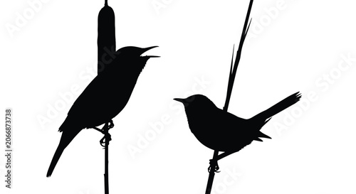 Quadro su tela Two Birds Perched On Ropes Black Silhouette