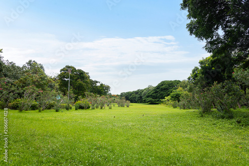 Scenic urban park pathway opening into a wide lush green meadow under bright sky