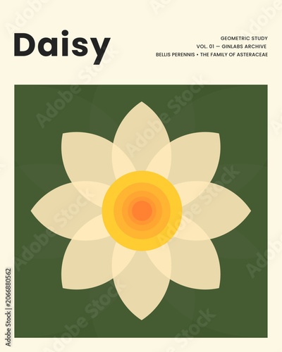 Minimalist daisy blooms with soft petals. Center features warm yellow-orange concentric rings. Green background offers calm, geometric contrast. Suitable for design, branding
