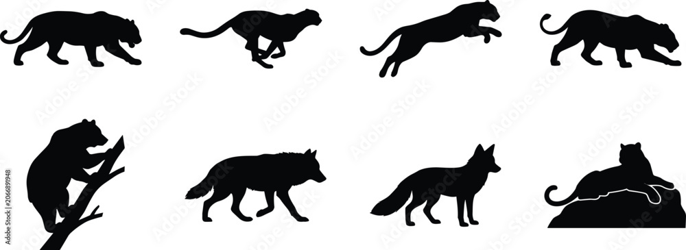 Fototapeta premium Wild Animal Silhouette Collection Featuring Big Cats Bear and Fox Poses