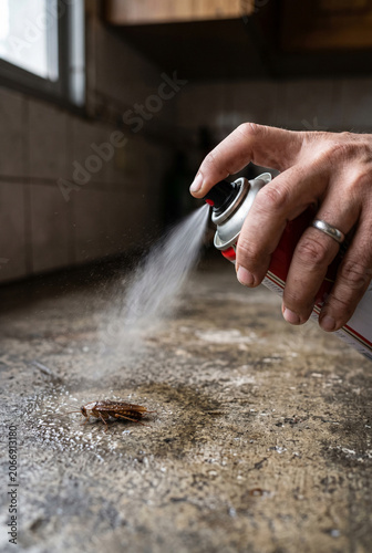 Close-up of a hand spraying insecticide mist toward a cockroach on the floor, indoor pest control concept.