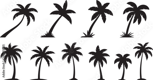Black palm tree silhouettes on white background