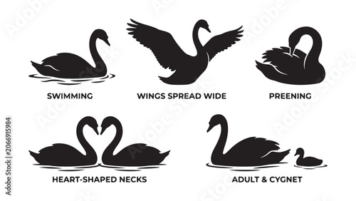 Fotografie Black Swan Silhouette Vector Set with Various Poses